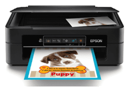 Impressora Epson XP-241