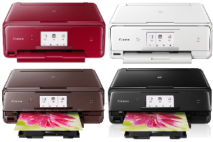canon pixma ts8020