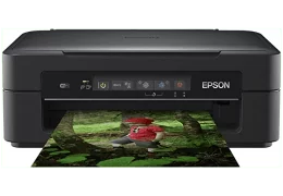 DRIVER EPSON XP 247 SCAN FOR WINDOWS 8 X64